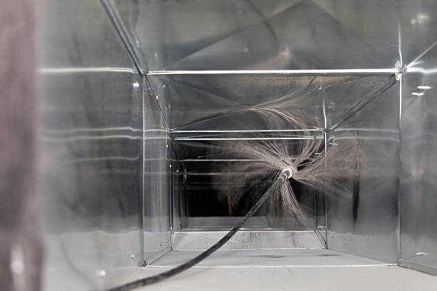 Best Air Duct Mold Removal  in Branford Center, CT
