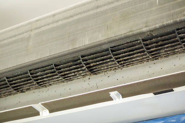 Best Air Vent Cleaning Services  in Branford Center, CT
